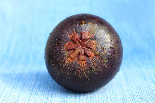 Fresh mangosteen fruit