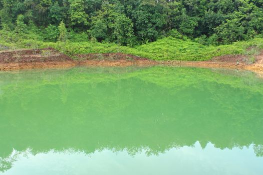 Forest lake