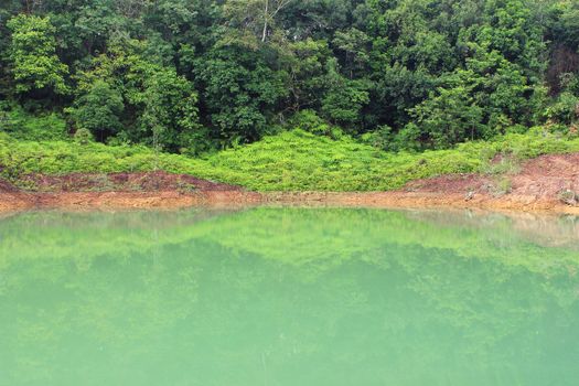 Forest lake