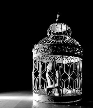 Wooden figurine in a cage