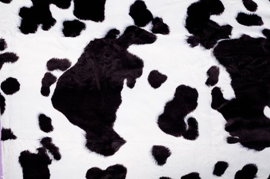 Black and white cow skin in the shape of a rug