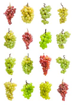 Collection of grapes isolated on white background