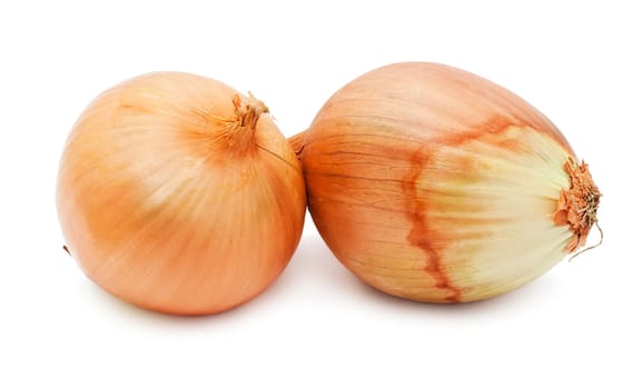 Fresh golden onion isolated on white background