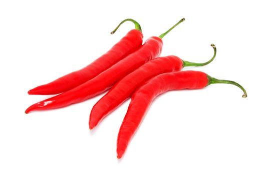 Red hot chili pepper isolated on white background