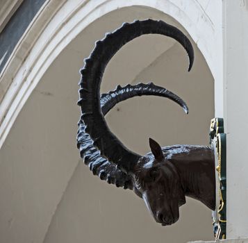 Cloister decorated with heads of deer, ibex and chamois in the center of Dresden