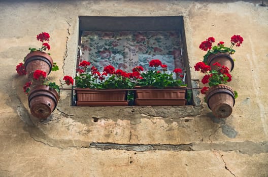 Small window adorned with some red pelargonium