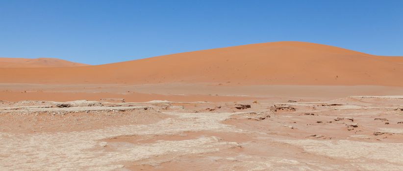 View over the deadvlei with the famous red dunes of Namib desert, Deadvlei (Sossusvlei), Namibia