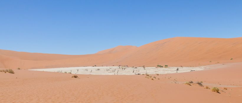 View over the deadvlei with the famous red dunes of Namib desert, Deadvlei (Sossusvlei), Namibia