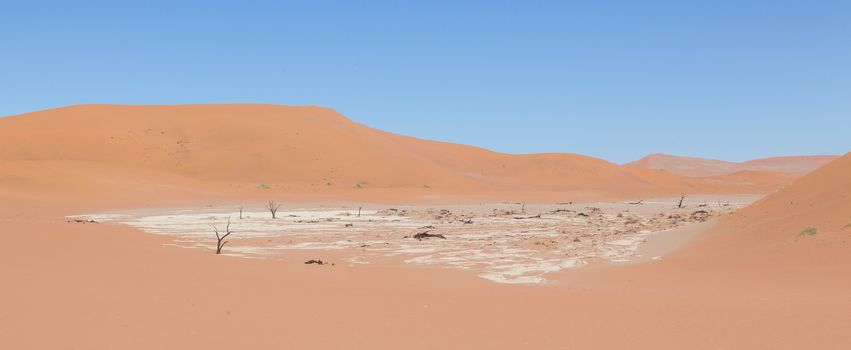 View over the deadvlei with the famous red dunes of Namib desert, Deadvlei (Sossusvlei), Namibia