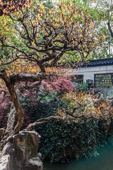 detail of the historic Yuyuan Garden created in the year 1559 by Pan Yunduan in shanghai china