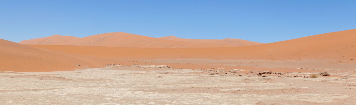 Dead acacia trees and red dunes of Namib desert, Deadvlei (Sossusvlei), Namibia