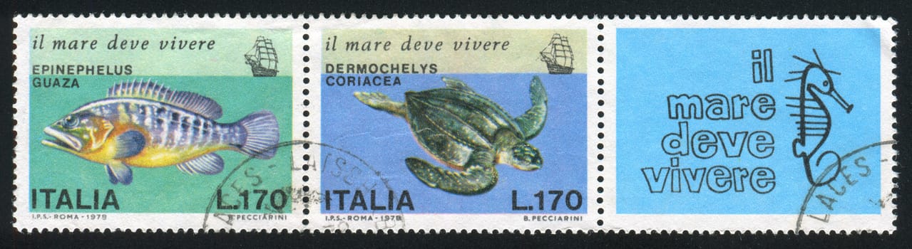 ITALY - CIRCA 1978: stamp printed by Italy, shows Giant grouper, leatherback turtle and sea horse, circa 1978