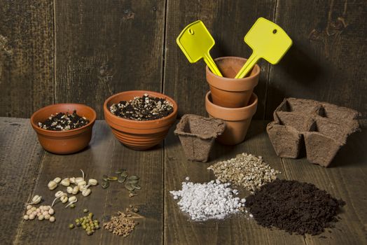 Terracotta pots, with tags and soil. A selection of seeds og pea, bean, pumkin and beet lying on a table. Soil, perlite and vermiculite   