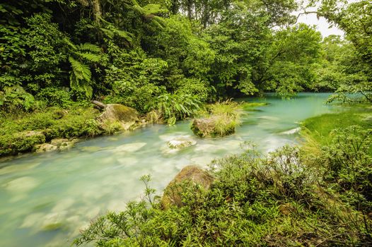 Beautiful rio celeste flows through the Tenorio National Park in Costa Rica.