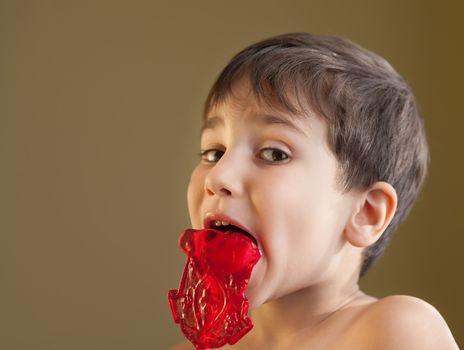 Portrait of a small  young boy eating a lollipop