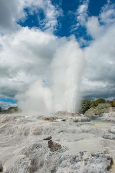 Pohutu and Prince of Wales geysers in Rotorua area, New Zealand
