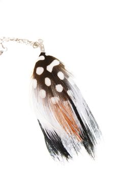 Colorful one separated feather- earring. Isolated on white.
