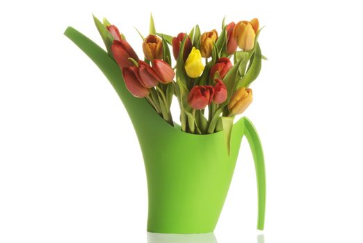 Bouquet of fresh living tulips. Isolated on white.