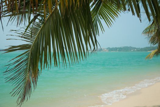 Beautiful tropical sandy beach with turquoise water and palm trees 