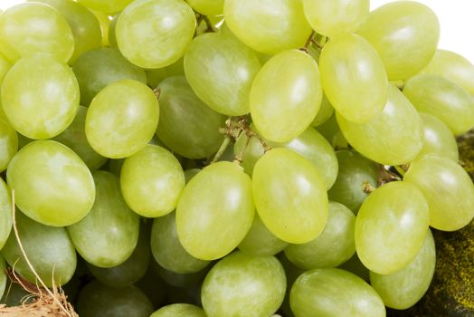 Close up on fresh green tasty grapes.