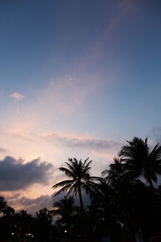 Evening on beautiful tropical beach with palm trees 