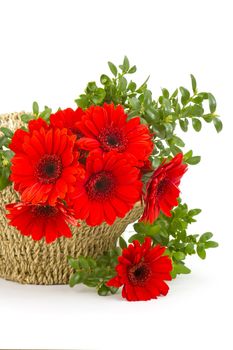 gerbera flowers in a basket