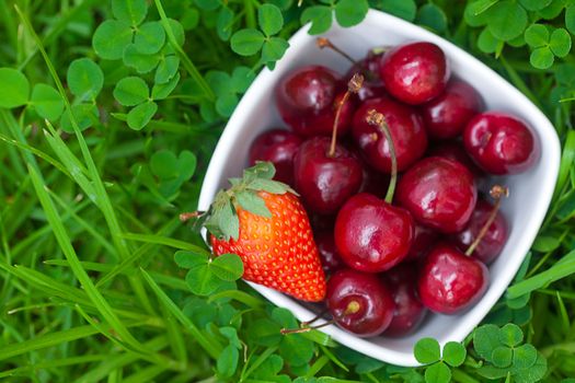 Cherries and strawberry in a ceramic bowl on green grass