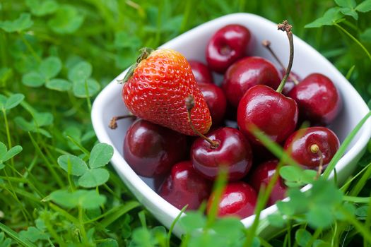 Cherries and strawberry in a ceramic bowl on green grass