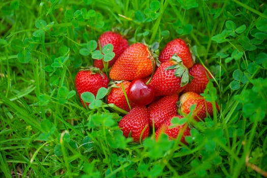 strawberries and cherry lying on green grass