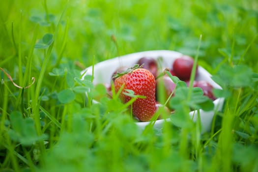 Cherries and strawberry in a ceramic bowl on green grass