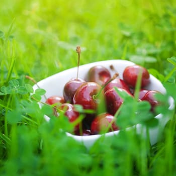 Cherries in a ceramic bowl on green grass