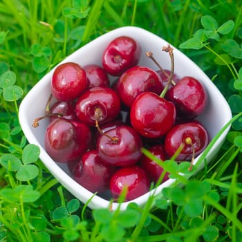 Cherries in a ceramic bowl on green grass