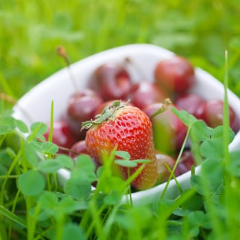 Cherries and strawberry in a ceramic bowl on green grass