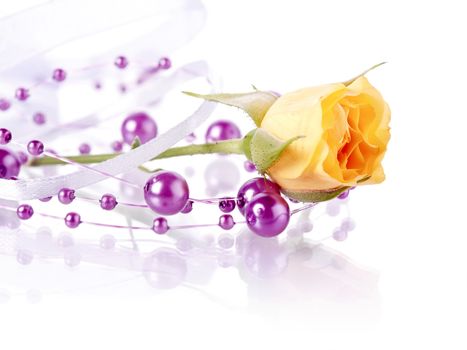 Yellow rose and violet beads. Yellow flower. Rose. Yellow rose