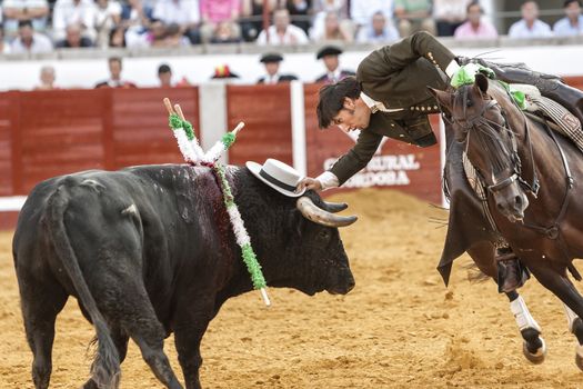 Pozoblanco, Cordoba province, SPAIN- 25 september 2011: Spanish bullfighter on horseback Diego Ventura bullfighting on horseback, try to put cordobes hat on the head of the bull making a spectacular Pirouette with horse, the public is surprised by the maneuver of the bullfighter, in Pozoblanco, Cordoba province, Andalusia, Spain