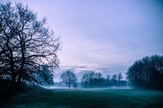 Magical morning mist foliage on a beautiful countryside scenery landscape