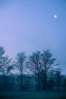 Magical morning mist foliage on a beautiful countryside scenery landscape