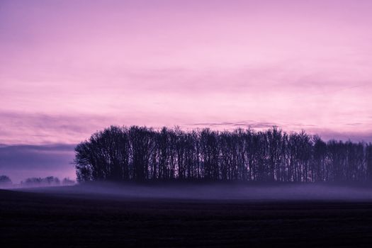 Magical morning mist foliage on a beautiful countryside scenery landscape