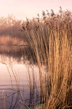 Small idyllic lake on a misty autumn morning