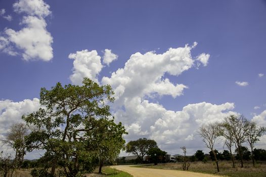 The road to Mikumi National Park in Tanzania.