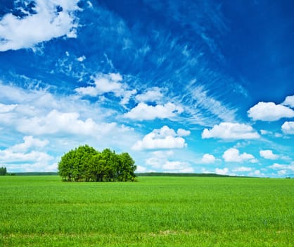 view on green field and blue sky