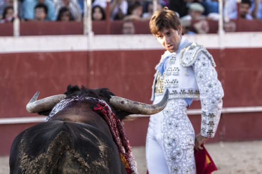 Beas de Segura, Jaen province, SPAIN - 11 october 2009: Bullfighter Alberto Lamelas white dress with silver ornaments and staring at the brave bull approaching little by little in the Bullring of Beas de segura,  Jaen province, Andalusia, Spain