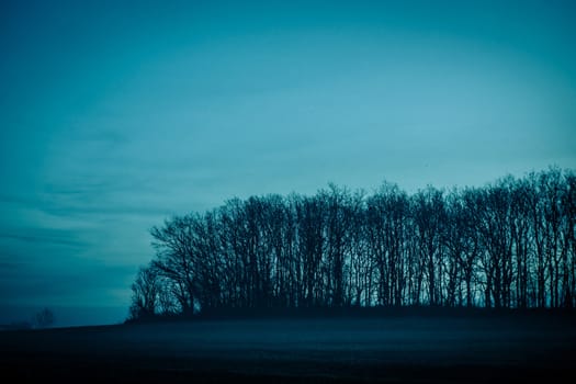 Magical morning mist foliage on a beautiful countryside scenery landscape