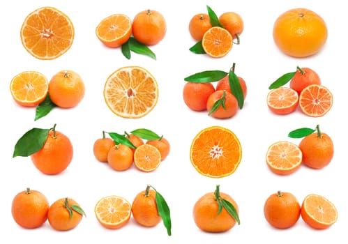 Collection of juicy tangerines or mandarins isolated on white background