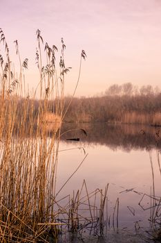 Small idyllic lake on a misty autumn morning