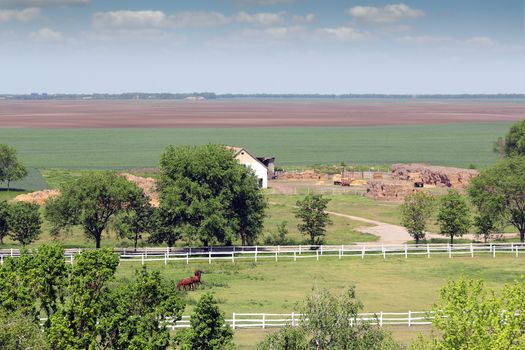 horses in corral farmland landscape