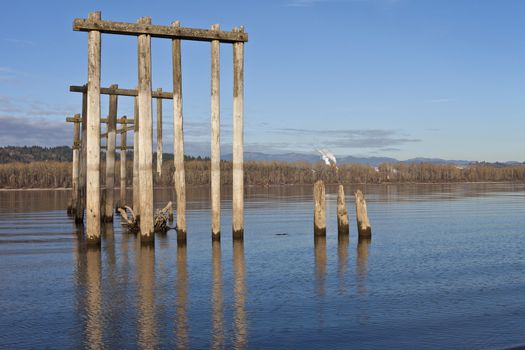 Logs from past construction rotting in the Columbia river Oregon.