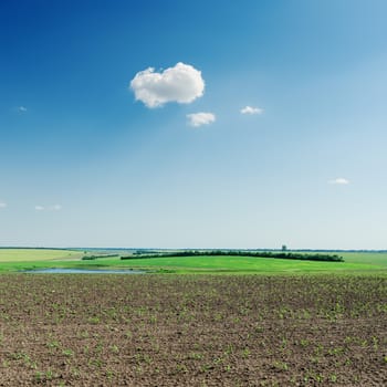 agriculture spring field and cloud in blue sky
