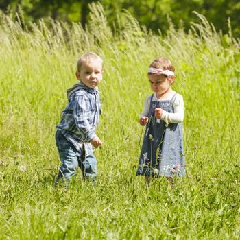 Boy gives a flower to girl. Little kids play outdoors