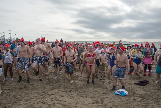 new year dip 2014 in winter holland
